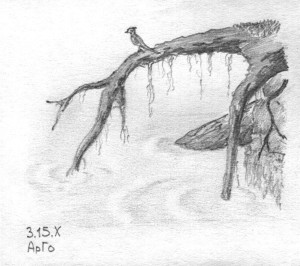 Pensil1